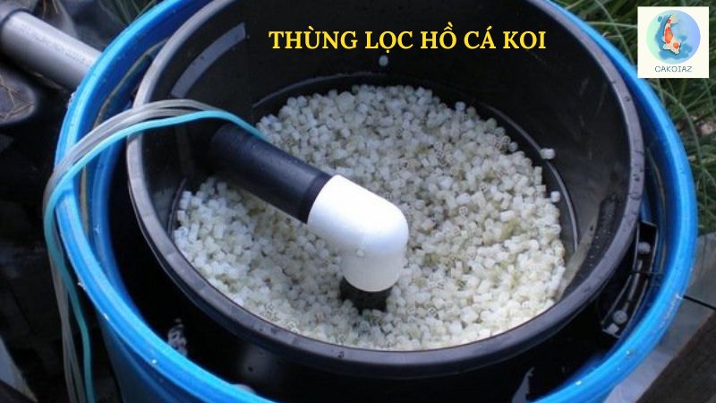 Thùng Lọc Hồ Cá Koi