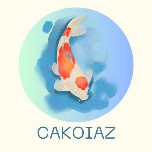 cakoiaz.com